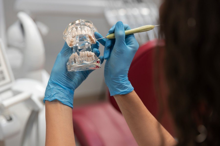 Dentist wearing blue gloves examines a dental model with a dental instrument.