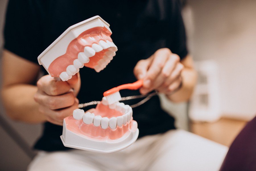 Dentist demonstrating proper brushing techniques using a dental model